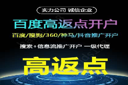 搜索引擎营销（SEM）的投放策略与效果评估——以某行业领先企业的案例分析
